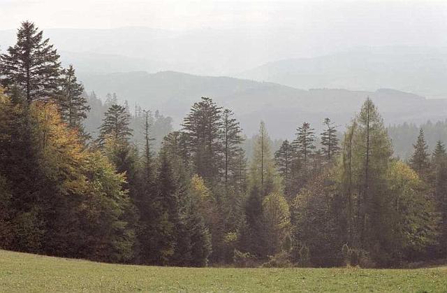 pieniny-0003.jpg