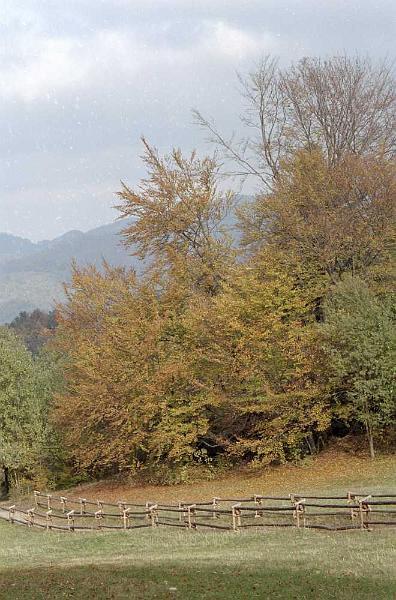 pieniny-0004.jpg