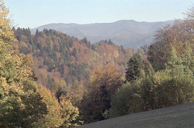 pieniny-001.jpg