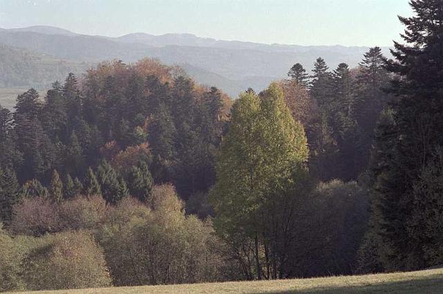 pieniny-007.jpg